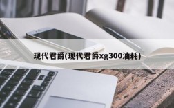 现代君爵(现代君爵xg300油耗)