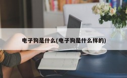 电子狗是什么(电子狗是什么样的)