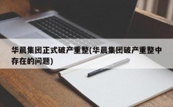 华晨集团正式破产重整(华晨集团破产重整中存在的问题)