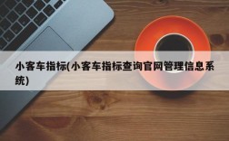 小客车指标(小客车指标查询官网管理信息系统)