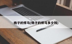 杨子的悍马(杨子的悍马多少钱)