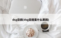 dsg召回(dsg召回是什么原因)