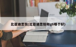 比亚迪思锐(比亚迪思锐和g6哪个好)