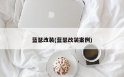 蓝瑟改装(蓝瑟改装案例)