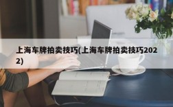 上海车牌拍卖技巧(上海车牌拍卖技巧2022)