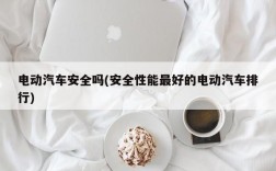 电动汽车安全吗(安全性能最好的电动汽车排行)