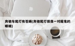 奔驰车尾灯有苍蝇(奔驰尾灯很像一对魔鬼的眼睛)