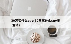 30万买什么suv(30万买什么suv车 混动)