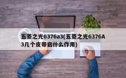 五菱之光6376a3(五菱之光6376A3几个皮带启什么作用)