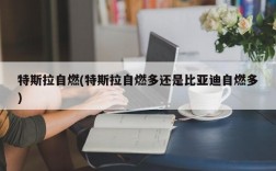 特斯拉自燃(特斯拉自燃多还是比亚迪自燃多)