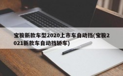 宝骏新款车型2020上市车自动挡(宝骏2021新款车自动挡轿车)