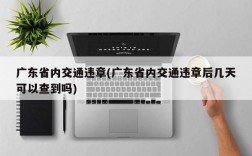 广东省内交通违章(广东省内交通违章后几天可以查到吗)