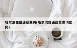 哈尔滨交通违章查询(哈尔滨交通违章查询官网)