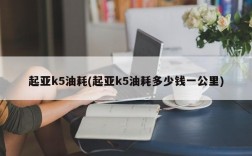 起亚k5油耗(起亚k5油耗多少钱一公里)