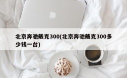 北京奔驰戴克300(北京奔驰戴克300多少钱一台)