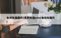 吉利熊猫图片(吉利熊猫mini电动车图片)