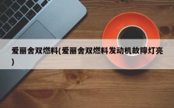 爱丽舍双燃料(爱丽舍双燃料发动机故障灯亮)