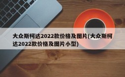 大众斯柯达2022款价格及图片(大众斯柯达2022款价格及图片小型)