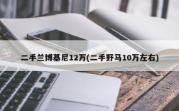 二手兰博基尼12万(二手野马10万左右)