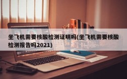 坐飞机需要核酸检测证明吗(坐飞机需要核酸检测报告吗2021)