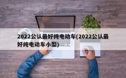 2022公认最好纯电动车(2022公认最好纯电动车小型)