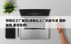 特斯拉工厂被罚(特斯拉工厂的血与泪 强制加班 累到急救)