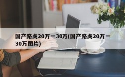 国产路虎20万一30万(国产路虎20万一30万图片)