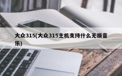 大众315(大众315主机支持什么无损音乐)