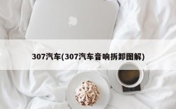 307汽车(307汽车音响拆卸图解)