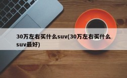 30万左右买什么suv(30万左右买什么suv最好)